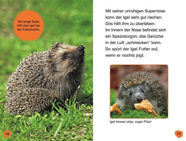 Produktbild: Superleser! Hallo, Igel!