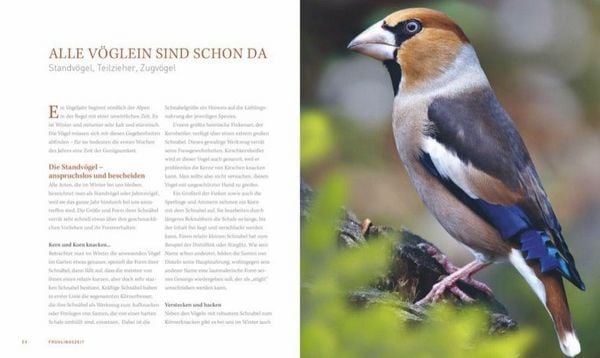 Produktbild: Ein Garten voller V&ouml;gel