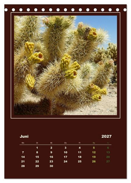 Produktbild: Wilde Kakteen Amerikas (Tischkalender 2027 DIN A5 hoch), CALVENDO Monatskalender