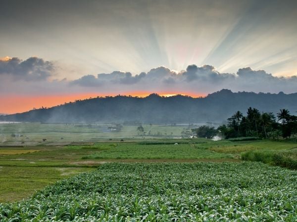 Produktbild: CALVENDO Puzzle Sonnenuntergang | 1000 Teile Lege-Gr&ouml;&szlig;e 64x48cm Foto-Puzzle f&uuml;r gl&uuml;ckliche Stunden