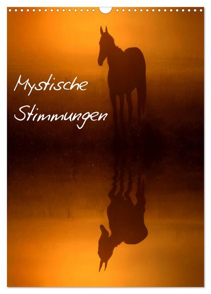 Produktbild: Mystische Stimmungen (Wandkalender 2026 DIN A3 hoch), CALVENDO Monatskalender