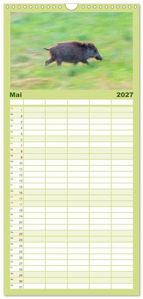 Produktbild: Familienplaner 2027 - Wildschweine &ndash; Wildlife Fotografien mit 5 Spalten (Wandkalender, 21 x 45 cm) CALVENDO