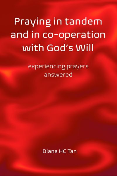 Produktbild: Praying in Tandem and in Co-Operation with God's Will: Experiencing Prayers Answered