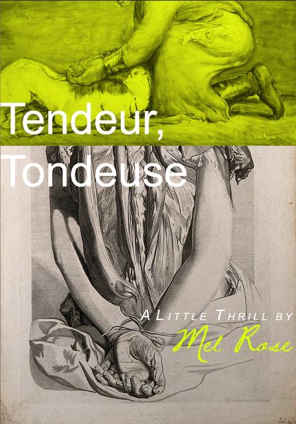 Produktbild: Tendeur, Tondeuse