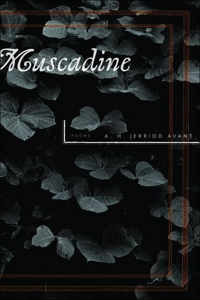 Produktbild: Muscadine