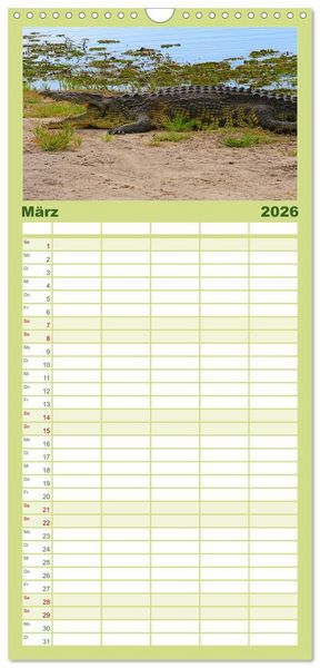 Produktbild: Familienplaner 2026 - Botswana- Pirschfahrt mit Garantie auf Wildlife mit 5 Spalten (Wandkalender, 21 x 45 cm) CALVENDO
