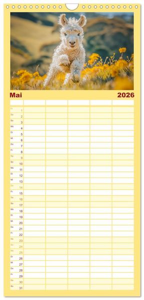 Produktbild: Familienplaner 2026 - Lustige Eselgeschichten mit 5 Spalten (Wandkalender, 21 x 45 cm) CALVENDO
