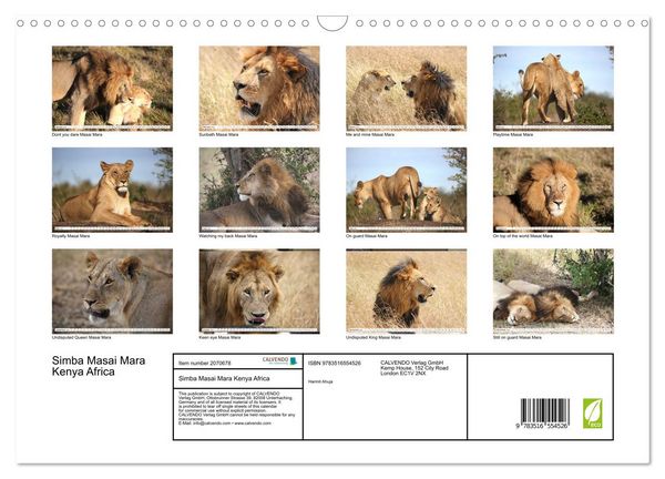 Produktbild: Simba Masai Mara Kenya Africa (Wall Calendar 2026 DIN A3 landscape), CALVENDO 12 Month Wall Calendar