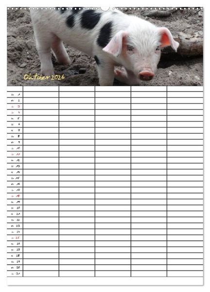 Produktbild: Bauernhoftiere Familienplaner (Wandkalender 2026 DIN A2 hoch), CALVENDO Monatskalender