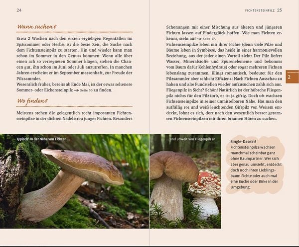 Produktbild: 10 Pilze