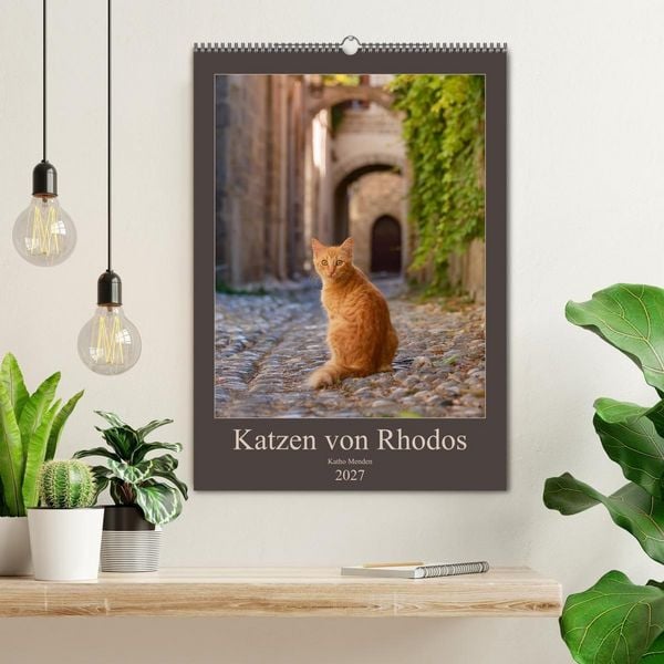 Produktbild: Katzen von Rhodos (Wandkalender 2027 DIN A2 hoch), CALVENDO Monatskalender