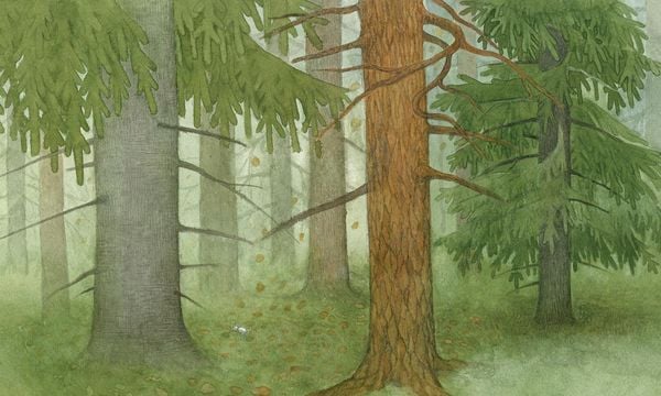 Produktbild: Die tanzende Waldmaus