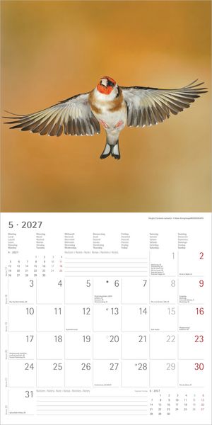 Produktbild: Einheimische V&ouml;gel 2027