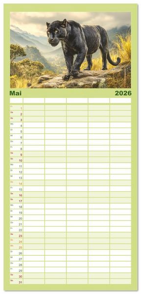 Produktbild: Familienplaner 2026 - Schwarze Panther. Geheimnisvolle Schatten der Wildnis mit 5 Spalten (Wandkalender, 21 x 45 cm) CALVENDO