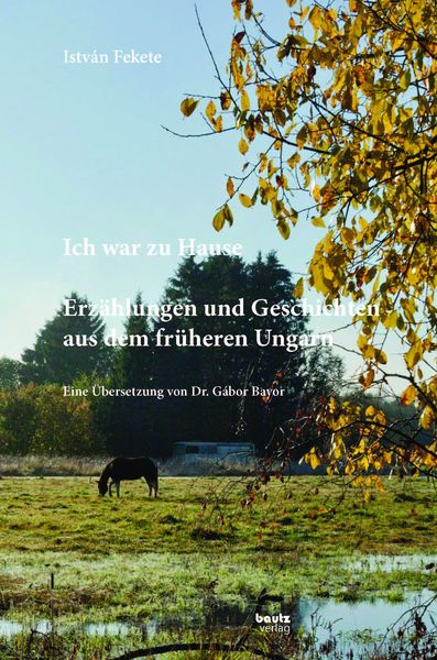Produktbild: Istv&aacute;n Fekete - Ich war zu Hause