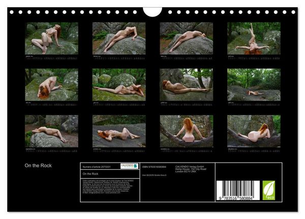 Produktbild: On the Rock (Calendrier mural 2026 DIN A4 vertical), CALVENDO calendrier mensuel