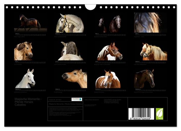 Produktbild: Magische Momente - Pferde Horses Caballos (Wandkalender 2026 DIN A4 quer), CALVENDO Monatskalender