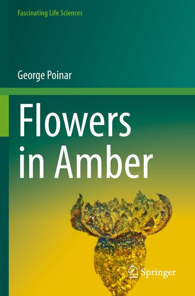 Produktbild: Flowers in Amber