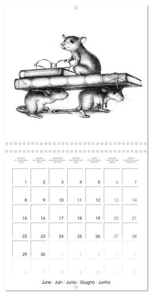 Produktbild: owls and mates 2026 (Wall Calendar 2026 12 &times; 12 Inch) CALVENDO 12 Month Wall Calendar
