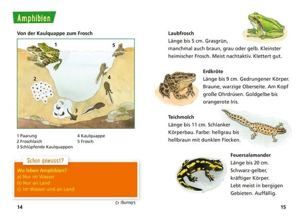Produktbild: Pixi Wissen 30: Tiere erkennen