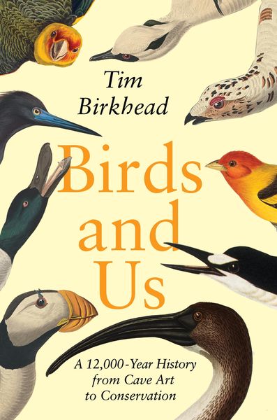 Produktbild: Birds and Us