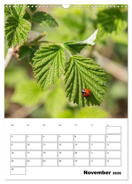 Produktbild: Farben der Natur (Wandkalender 2026 DIN A3 hoch), CALVENDO Monatskalender