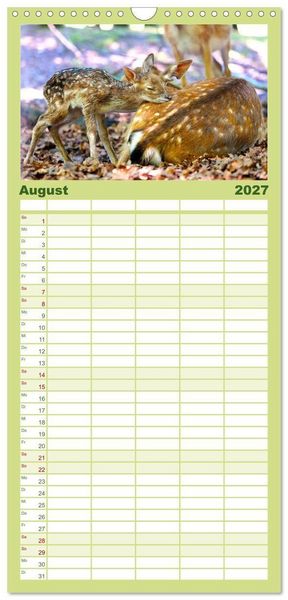 Produktbild: Familienplaner 2027 - Die Tiere des Waldes mit 5 Spalten (Wandkalender, 21 x 45 cm) CALVENDO