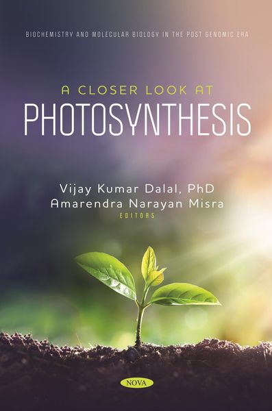 Produktbild: Closer Look at Photosynthesis