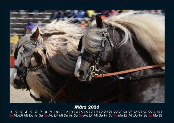 Produktbild: Die Welt der Pferde 2026 Fotokalender DIN A5