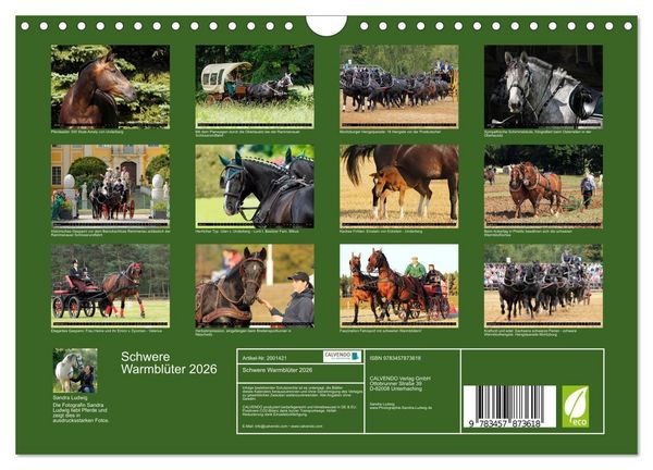 Produktbild: Schwere Warmbl&uuml;ter 2026 (Wandkalender 2026 DIN A4 quer), CALVENDO Monatskalender