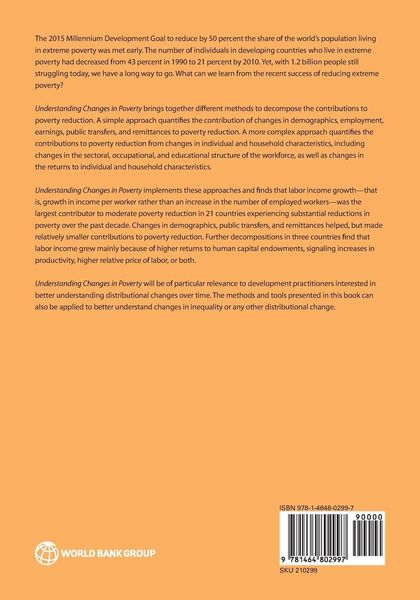 Produktbild: Understanding Changes in Poverty