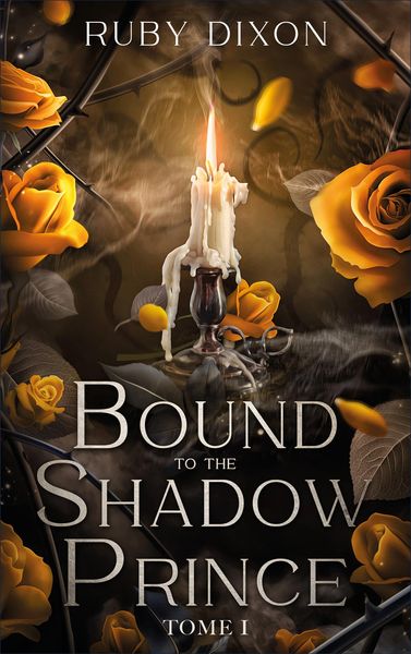 Produktbild: Bound to the shadow prince - Tome 1