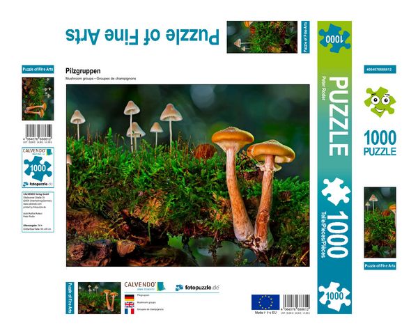 Produktbild: CALVENDO Puzzle Pilzgruppen 1000 Teile Lege-Gr&ouml;&szlig;e 640 x 480 cm Foto-Puzzle Bild von Peter Roder