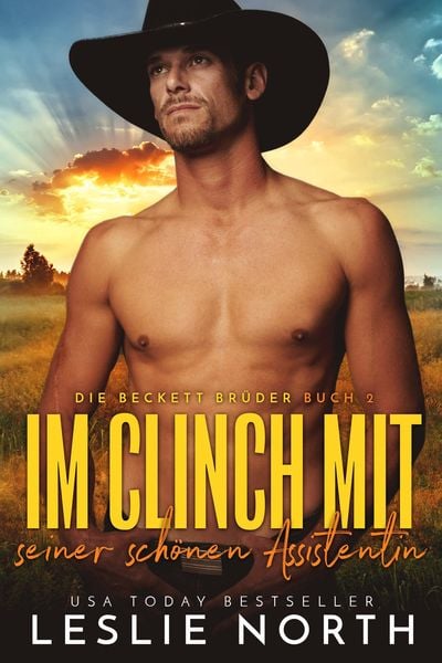 Im Clinch mit seiner schönen Assistentin (Die Beckett Brüder, #2)