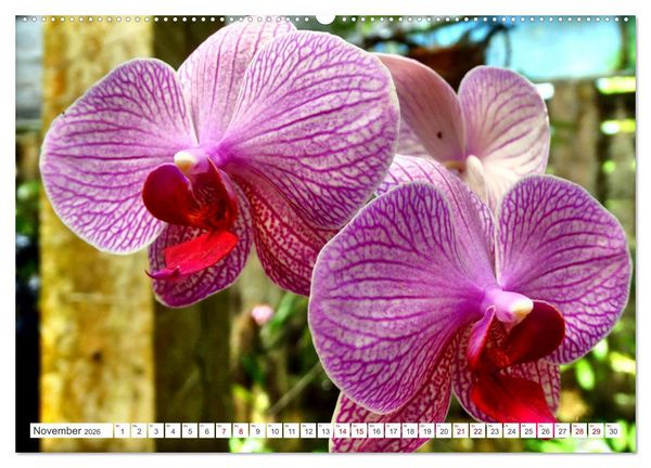 Produktbild: Naturjuwel Soroa - Ein St&uuml;ck vom Paradies auf Kuba (Wandkalender 2026 DIN A2 quer), CALVENDO Monatskalender