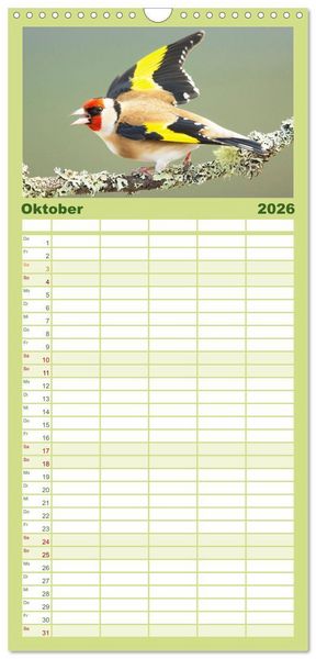 Produktbild: Familienplaner 2026 - Amsel, Fink und Star: Heimische V&ouml;gel mit 5 Spalten (Wandkalender, 21 x 45 cm) CALVENDO