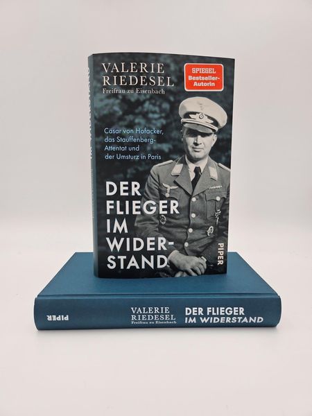 Produktbild: Der Flieger im Widerstand