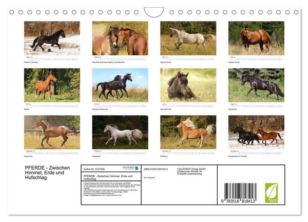 Produktbild: PFERDE - Zwischen Himmel, Erde und Hufschlag (Wandkalender 2027 DIN A4 quer), CALVENDO Monatskalender