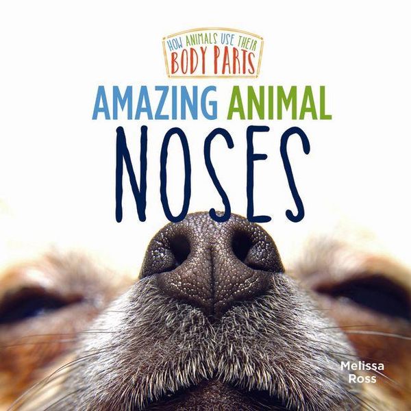 Produktbild: Amazing Animal Noses