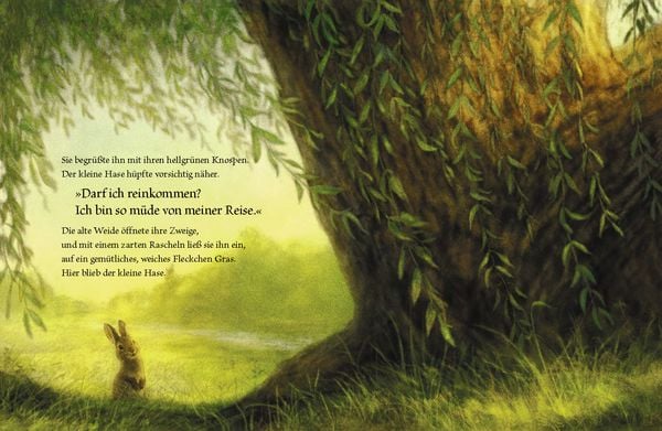 Produktbild: Der kleine Hase und die alte Weide