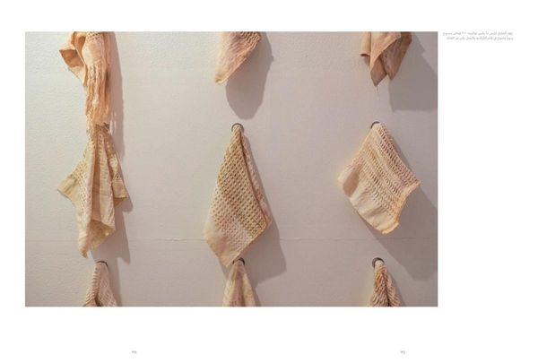Produktbild: Evaporating Suns