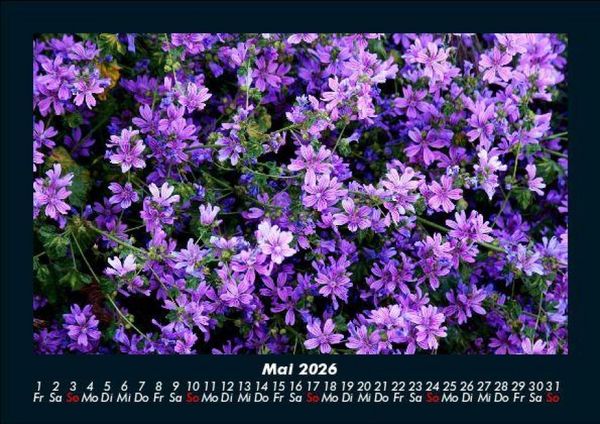 Produktbild: Blumentr&auml;ume 2026 Fotokalender DIN A5