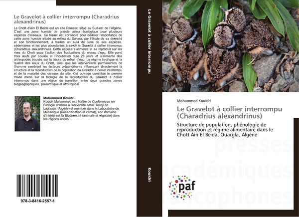 Produktbild: Le Gravelot &agrave; collier interrompu (Charadrius alexandrinus)