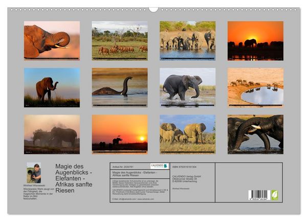 Produktbild: Magie des Augenblicks - Elefanten - Afrikas sanfte Riesen (Wandkalender 2026 DIN A2 quer), CALVENDO Monatskalender