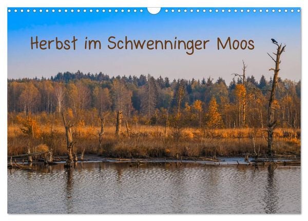 Produktbild: Herbst im Schwenninger Moos (Wandkalender 2026 DIN A3 quer), CALVENDO Monatskalender