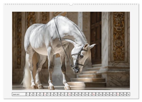 Produktbild: Spanische Eleganz. Edle Schimmel auf dem Gest&uuml;t (hochwertiger Premium Wandkalender 2027 DIN A2 quer), Kunstdruck in Hochglanz