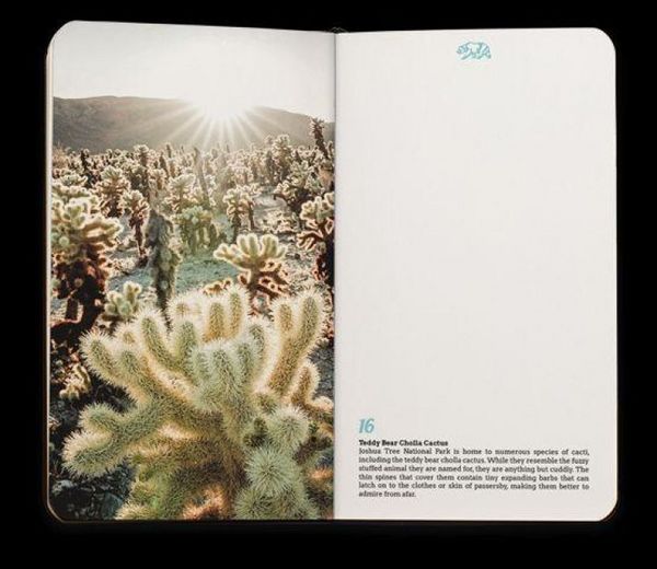 Produktbild: Notizbuch California - Kalifornien