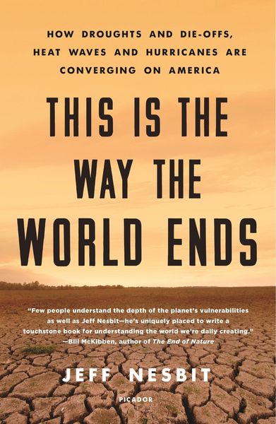 Produktbild: This Is the Way the World Ends