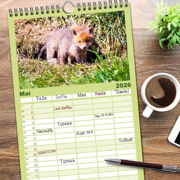 Produktbild: Familienplaner 2026 - Verspielte Fuchswelpen - Allein zu Haus' mit 5 Spalten (Wandkalender, 21 x 45 cm) CALVENDO