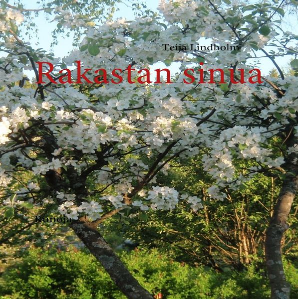 Produktbild: Rakastan sinua